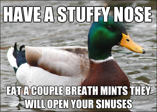 have a stuffy nose eat a couple breath mints they will open your sinuses  Actual Advice Mallard