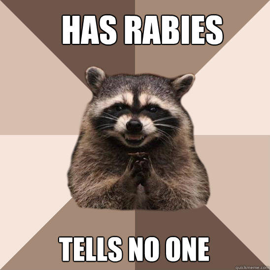 Has Rabies  Tells no one  Evil Plotting Raccoon