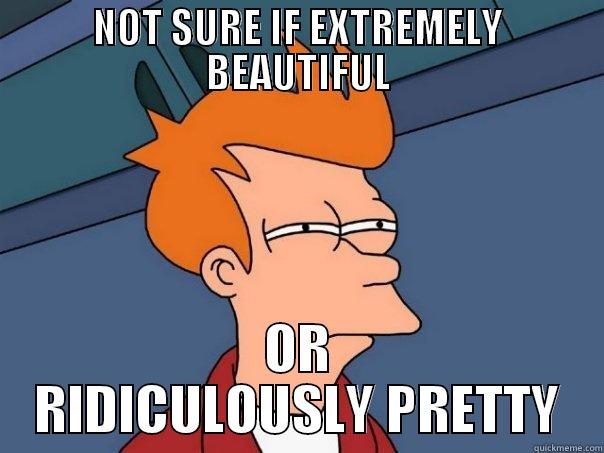 NOT SURE IF EXTREMELY BEAUTIFUL OR RIDICULOUSLY PRETTY Futurama Fry