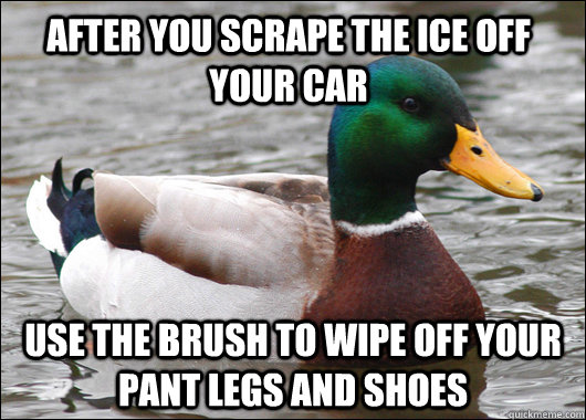 After you scrape the ice off your car Use the brush to wipe off your pant legs and shoes - After you scrape the ice off your car Use the brush to wipe off your pant legs and shoes  Actual Advice Mallard