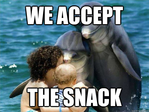 we accept the snack  Malevolent Dolphins