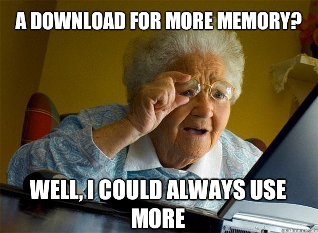 A DOWNLOAD FOR MORE MEMORY? WELL, I COULD ALWAYS USE MORE    Grandma finds the Internet