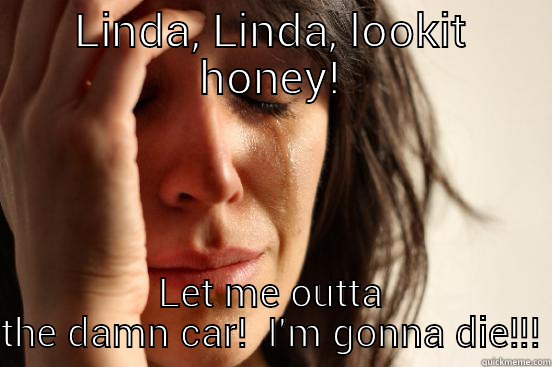 LINDA, LINDA, LOOKIT HONEY! LET ME OUTTA THE DAMN CAR!  I'M GONNA DIE!!! First World Problems