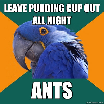 leave pudding cup out all night ANTS  Paranoid Parrot