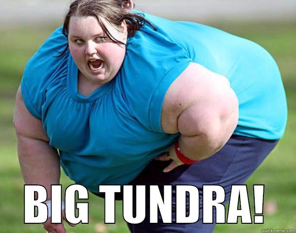  BIG TUNDRA! Misc