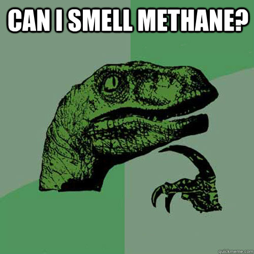 Can I smell methane?  - Can I smell methane?   Philosoraptor