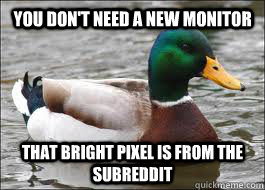 you don't need a new monitor THAT BRIGHT PIXEL IS FROM THE SUBREDDIT  Good Advice Duck