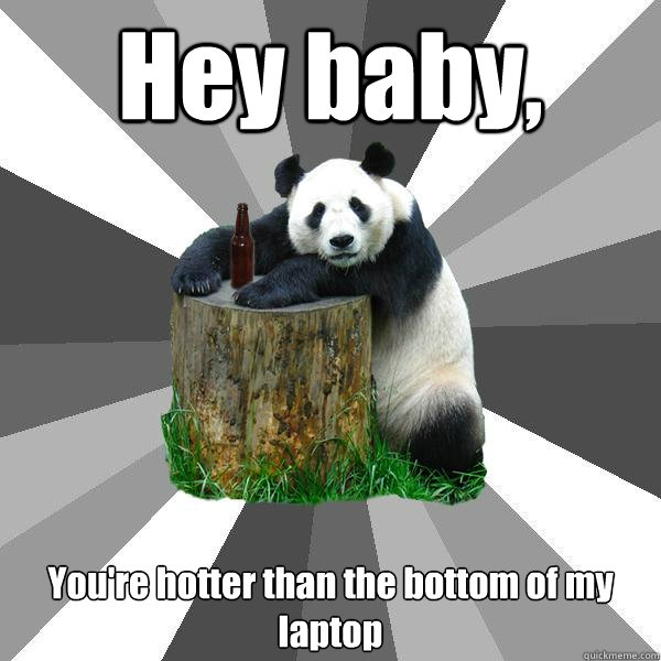 Hey baby, You're hotter than the bottom of my laptop  Pickup-Line Panda