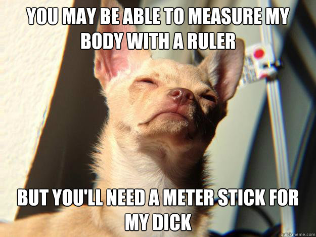 You may be able to measure my body with a ruler But you'll need a meter stick for my dick - You may be able to measure my body with a ruler But you'll need a meter stick for my dick  CharlesInCharge