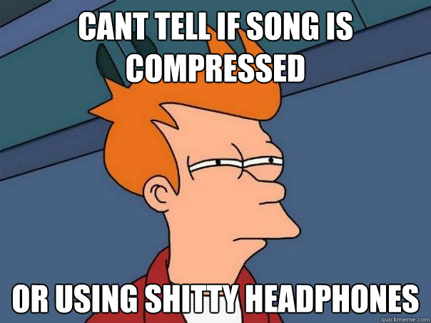 Cant tell if Song is compressed or using shitty headphones  Futurama Fry