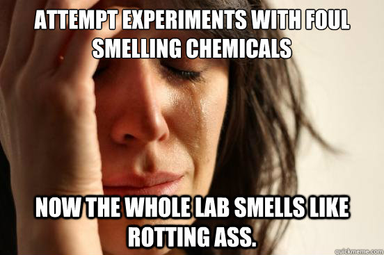 Attempt Experiments with Foul Smelling chemicals Now the whole lab smells like rotting ass.  First World Problems