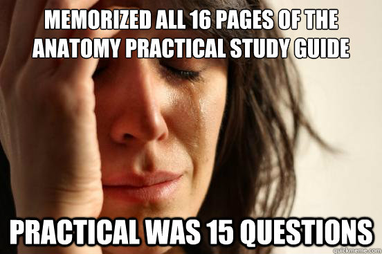 memorized all 16 pages of the anatomy practical study guide practical was 15 questions  First World Problems