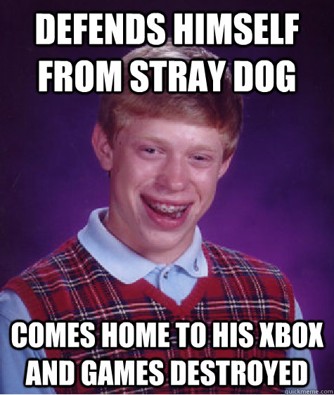 Defends Himself From Stray Dog Comes home to his xbox and games destroyed  Bad Luck Brian