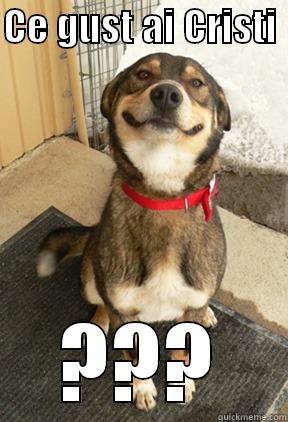 CE GUST AI CRISTI  ??? Good Dog Greg