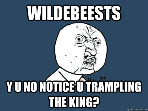 wildebeests y u no notice u trampling the king?  Y U No