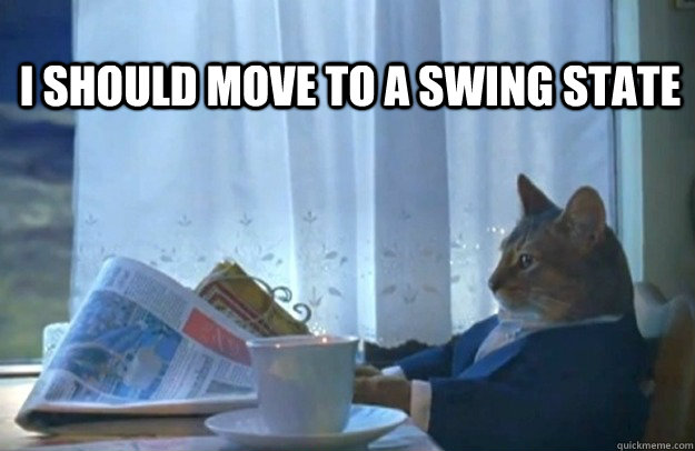 I should move to a swing state  Sophisticated Cat