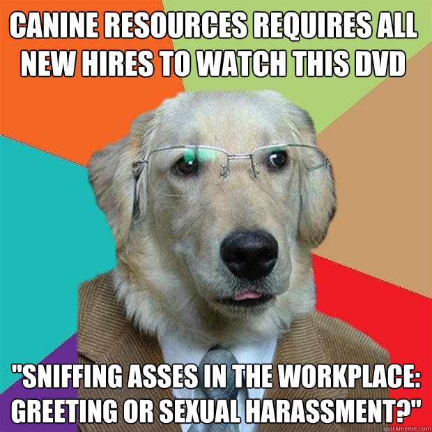 Canine resources requires all new hires to watch this dvd 