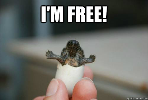 I'm free!  - I'm free!   Misc