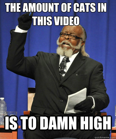 The Amount of Cats In this Video Is to damn high  The Rent Is Too Damn High