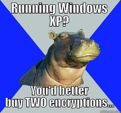RUNNING WINDOWS XP? YOU'D BETTER BUY TWO ENCRYPTIONS... Skeptical Hippo