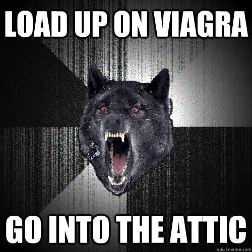 Load up on viagra go into the attic  Insanity Wolf