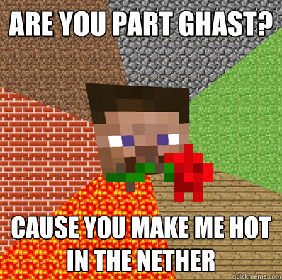 ARE YOU PART GHAST? CAUSE YOU MAKE ME HOT IN THE NETHER  