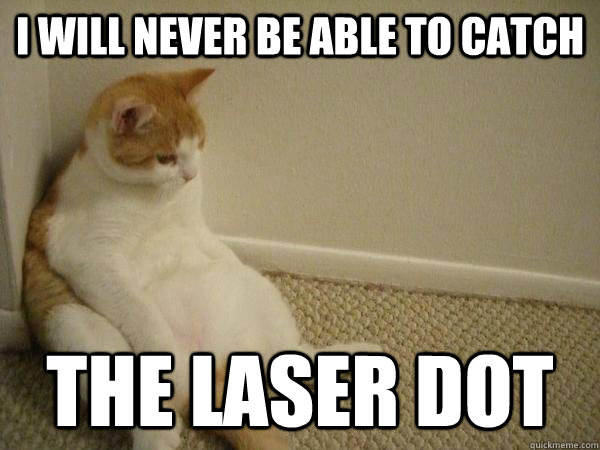 I will never be able to catch the laser dot - I will never be able to catch the laser dot  Depressing Realization Cat