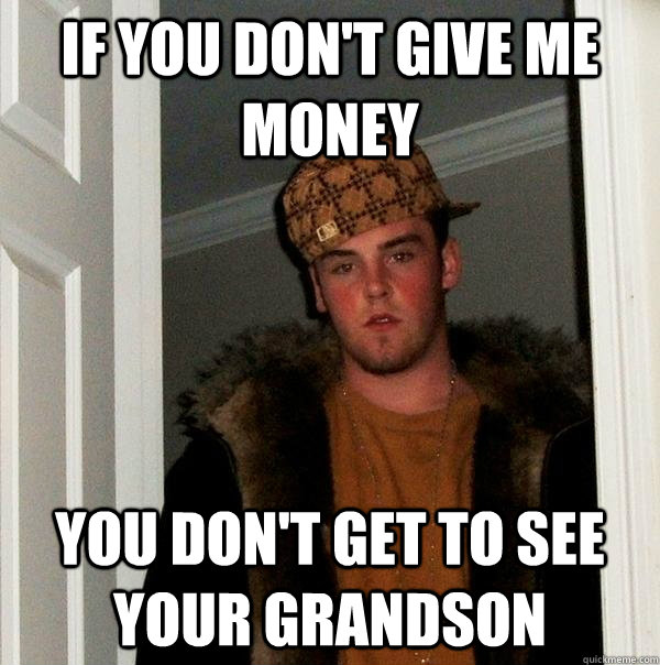 if you don't give me money you don't get to see your grandson - if you don't give me money you don't get to see your grandson  Scumbag Steve