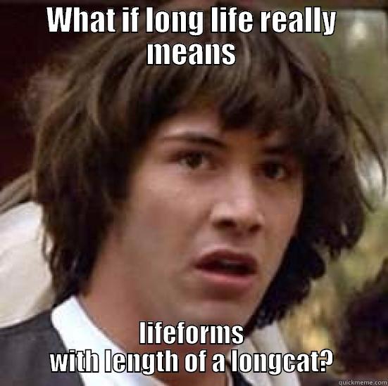 WHAT IF LONG LIFE REALLY MEANS LIFEFORMS WITH LENGTH OF A LONGCAT? conspiracy keanu