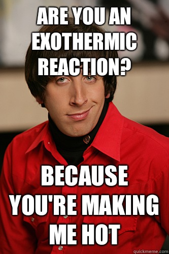 Are you an exothermic reaction? Because you're making me hot  Howard Wolowitz