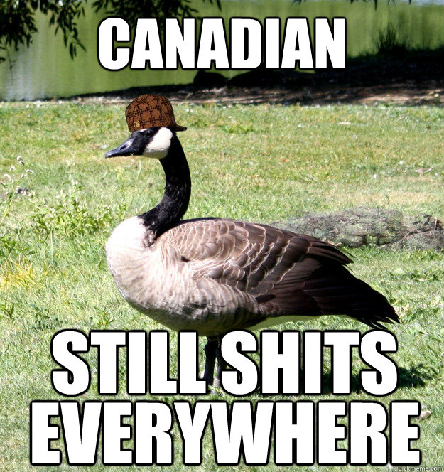 Canadian still shits everywhere - Canadian still shits everywhere  Scumbag Goose