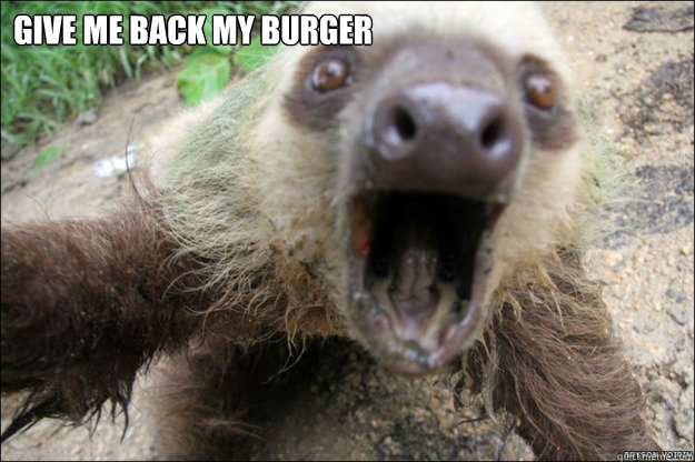 Give me back My Burger   Angry Sloth
