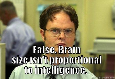 Brain size -  FALSE. BRAIN SIZE ISN'T PROPORTIONAL TO INTELLIGENCE.  Dwight