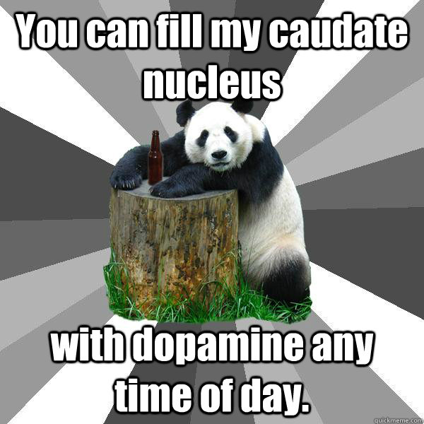 You can fill my caudate nucleus with dopamine any time of day. - You can fill my caudate nucleus with dopamine any time of day.  Pickup-Line Panda