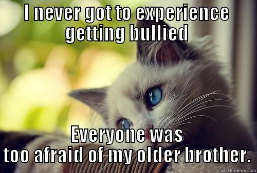 I NEVER GOT TO EXPERIENCE GETTING BULLIED EVERYONE WAS TOO AFRAID OF MY OLDER BROTHER. First World Problems Cat