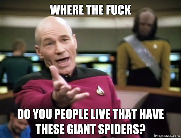Where the fuck  do you people live that have these giant spiders?  Annoyed Picard HD