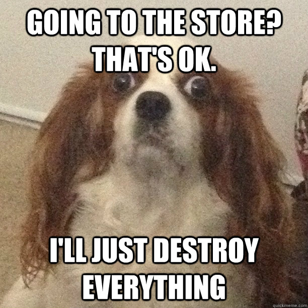 going to the store? That's ok. I'll just destroy everything   Overly Attached Dog