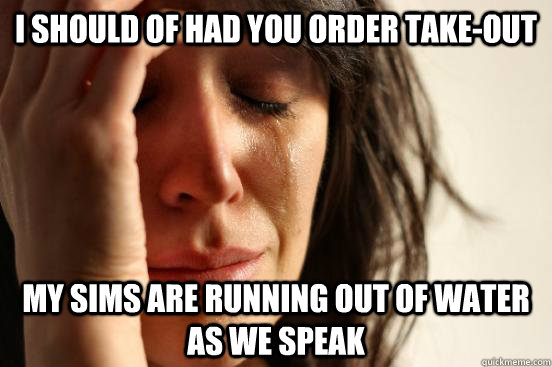 I should of had you order take-out my sims are running out of water as we speak  First World Problems