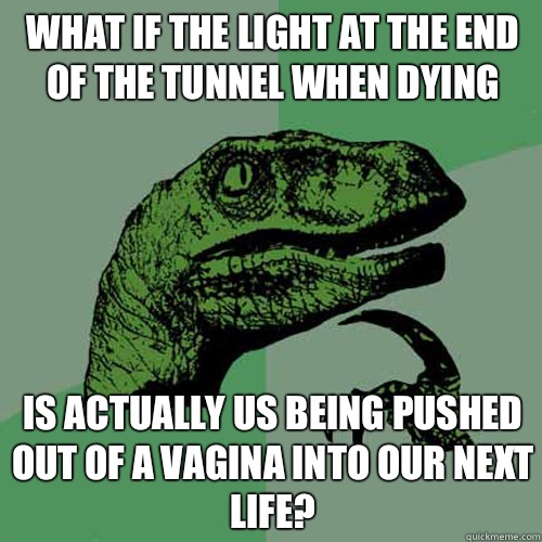 What if the light at the end of the tunnel when dying is actually us being pushed out of a vagina into our next life?  Philosoraptor