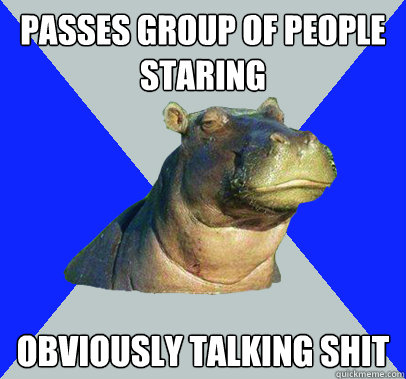 passes group of people staring obviously talking shit  Skeptical Hippo