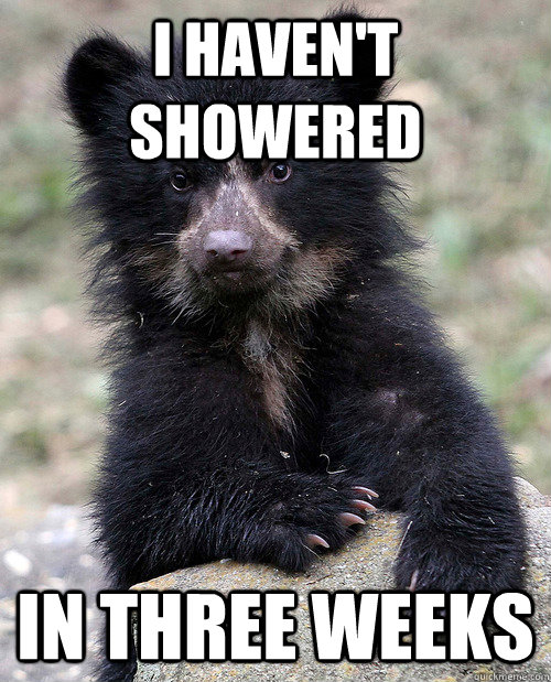 I haven't showered In three weeks Messy confession bear quickmeme