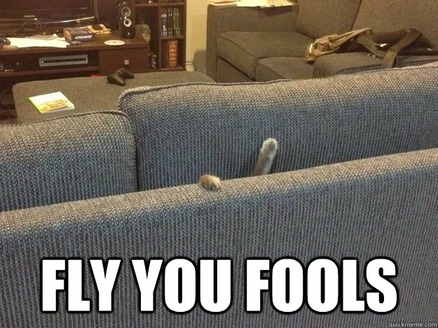 Fly You Fools -  Fly You Fools  Misc