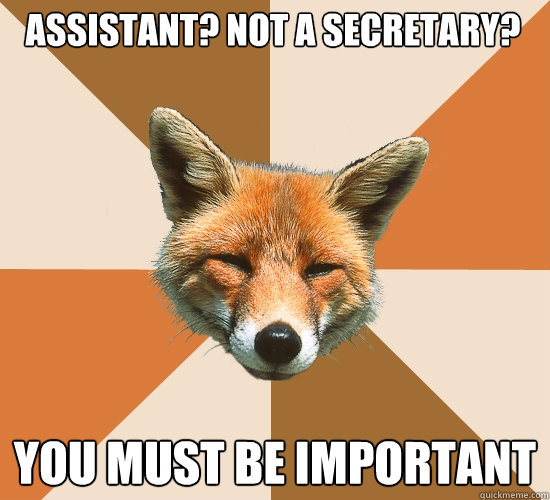 ASSISTANT? NOT A SECRETARY?
 YOU MUST BE IMPORTANT  Condescending Fox