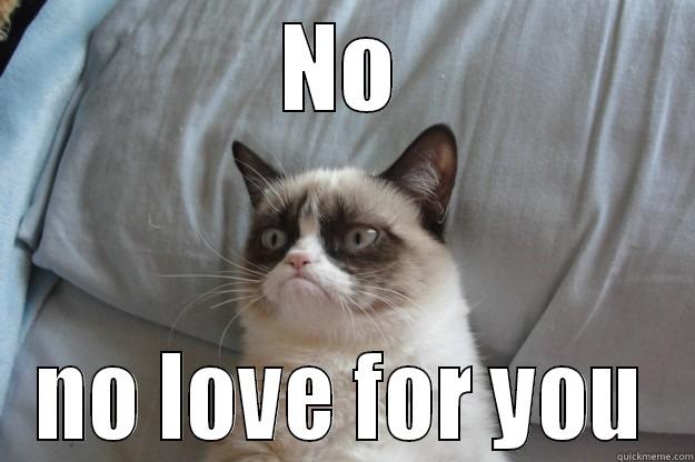 No Love - NO NO LOVE FOR YOU Grumpy Cat