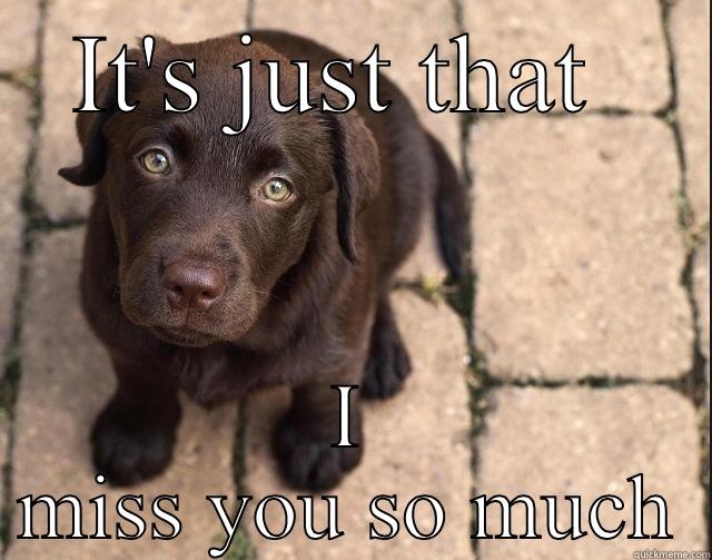 IT'S JUST THAT  I MISS YOU SO MUCH Misc