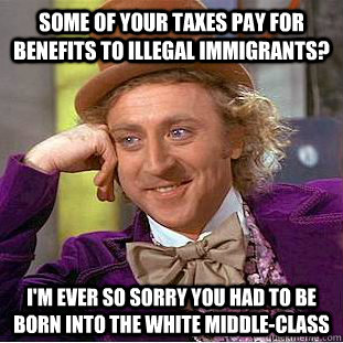 Some of your taxes pay for benefits to illegal immigrants? I'm ever so sorry you had to be born into the white middle-class   Condescending Wonka