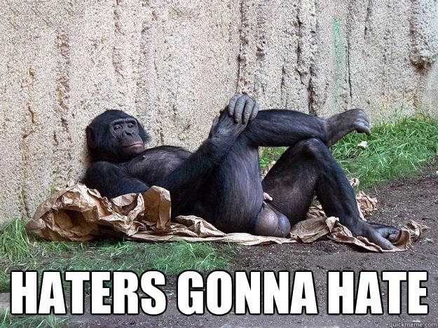  HATERS GONNA HATE -  HATERS GONNA HATE  Hater Monkey