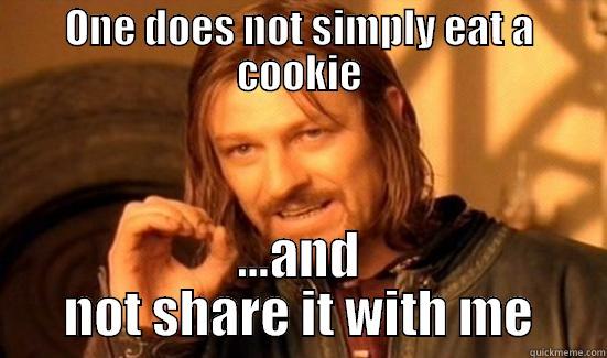 ONE DOES NOT SIMPLY EAT A COOKIE ...AND NOT SHARE IT WITH ME Boromir