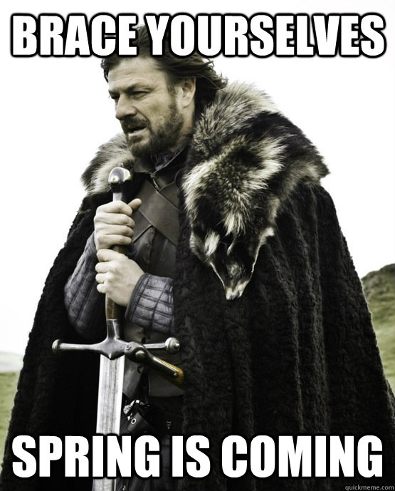 Brace yourselves Spring is coming  ned stark st patrick