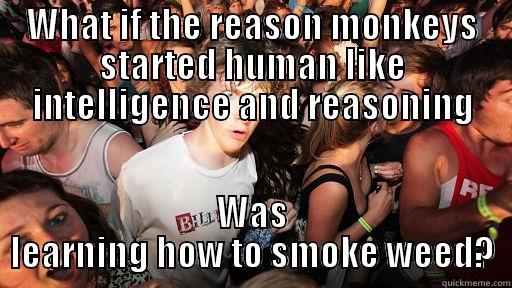 WHAT IF THE REASON MONKEYS STARTED HUMAN LIKE INTELLIGENCE AND REASONING WAS LEARNING HOW TO SMOKE WEED? Sudden Clarity Clarence